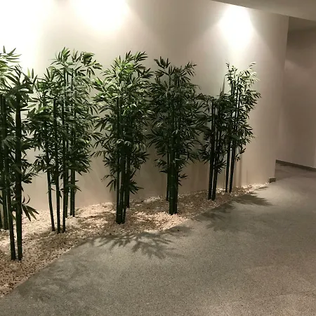 Trajadinha 아파트 *