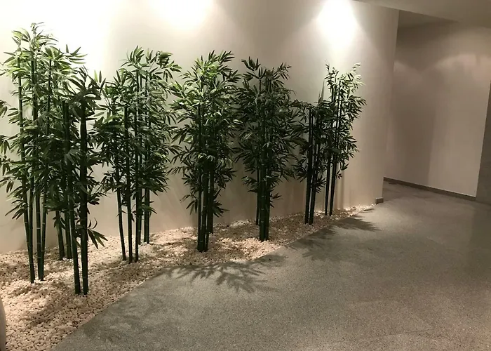 Trajadinha Apartmán *